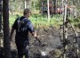 Nõva metsapõleng