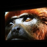 Matsalu filmifestival, 1. päev
