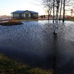 Promenaad
