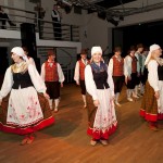 Vähegiviitsijad 2012