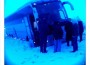 Rakvere teatri buss kraavis Rakverelased pidid Haapsallu edasisõiduks ootama asendusbussi. Foto: Facebook
