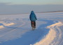 Noarootsi jäätee tarmula