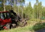 vormsi_mets