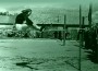 Hyppel Aino Maasik 1960 Foto Erich Kanter