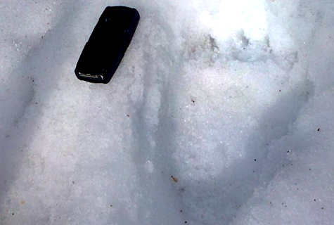 Taskutelefon tundub karujälje kõrval tikutopsina. Foto: Kalju Hepner