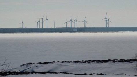 Virtsu tuulepark. Foto: Urmas Lauri