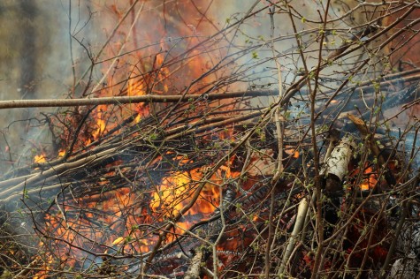 Lõket tohib teha vaid mittesüttival pinnasel ning tuld ei tohi jätta üksi. Foto: Urmas Lauri