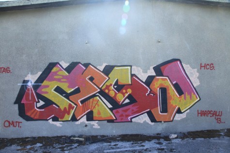 Krimmi holm graffity (15)