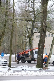 Taerbla poe parkla (foto: lääne-nigula valla facebook)