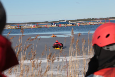 Rannarootsi perepäev (26). Tarmula