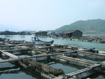 Aquaculture_in_Lo-nguong