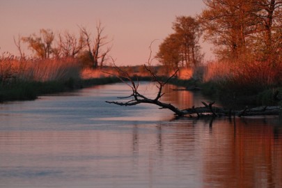 Loodusmatk Matsalus (urmas lauri) (57)