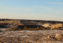 Kaopalu karjäär võib saada laienduse