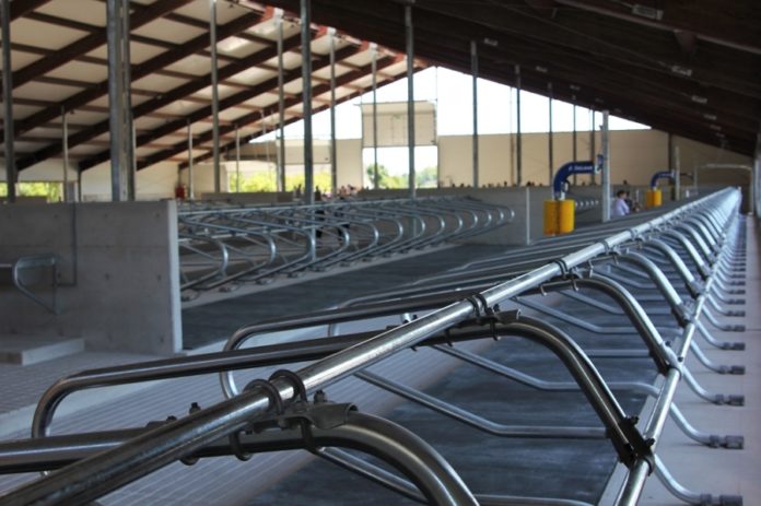 Mätiku talu robotlüpsilaut1