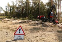 RMK plaanib pisut vähem raiuda