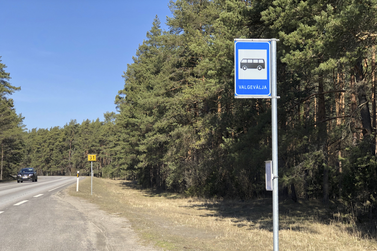 Haapsalu linn paneb oksjonile Valgevälja metsa