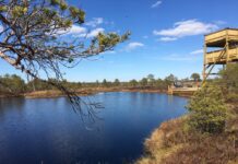 Parimad kohad külastamiseks Lääne – Eestis