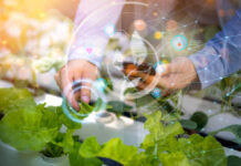 Mida peidab endas nutikas kasvuhoone?