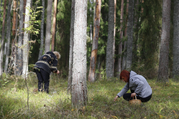 Seenelkäik Nõval - 19