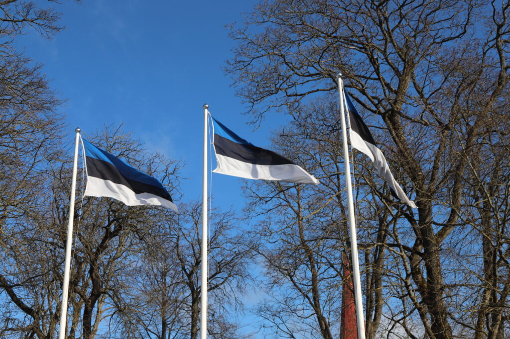 Oru kooli lapsed: kui ma oleksin Eesti president, siis… - Lääne Elu