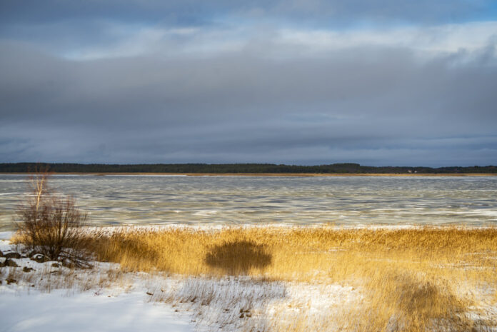 tagalaht_malleliisaragila (3)