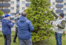 Haapsalu sai kaks helkuripuud