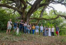 Fotoklubi avas kultuurikeskuses kolm näitust