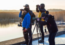 Galerii: Haapsalu linnapea andis panuse linnade linnuvaatlusesse