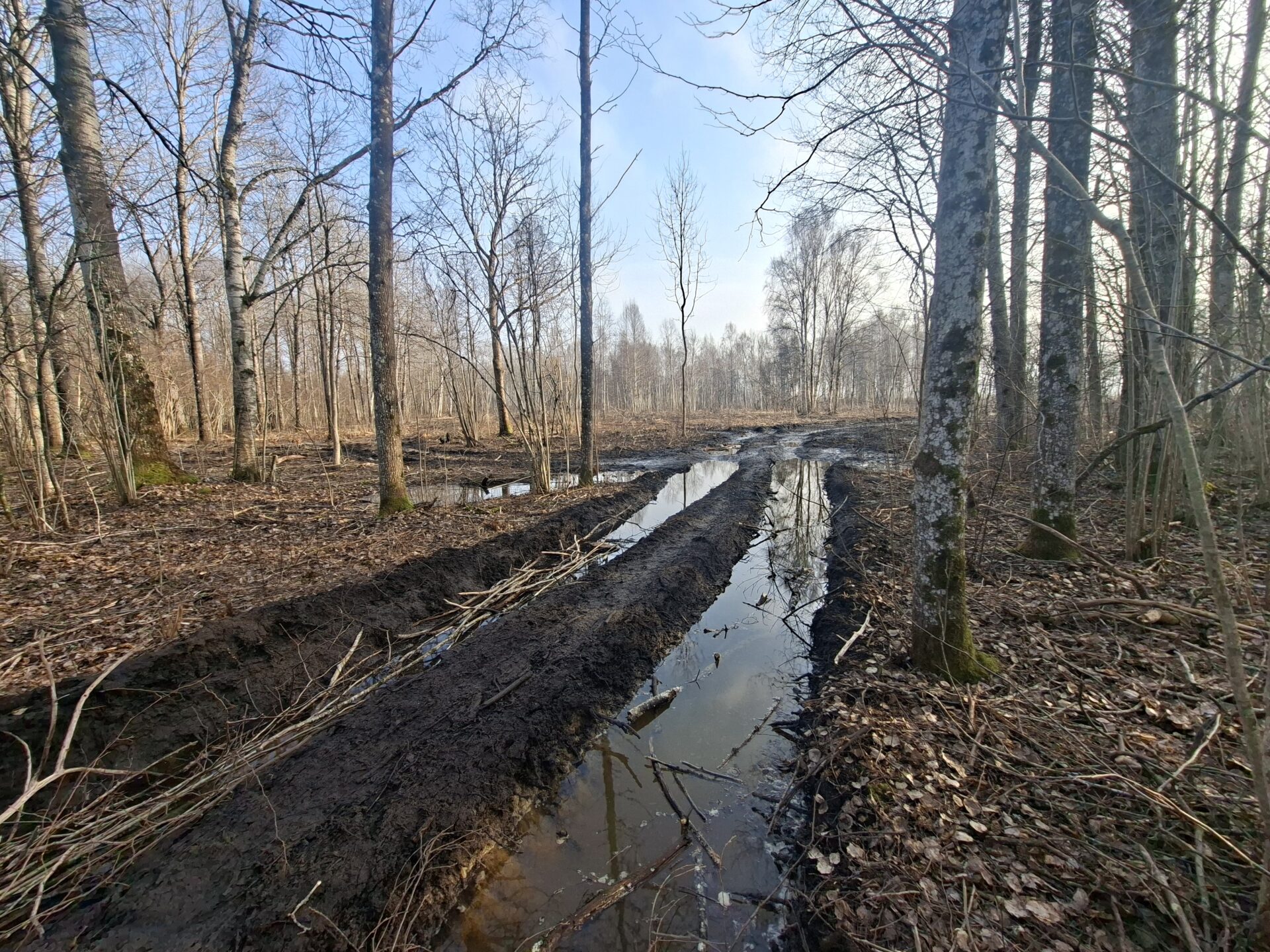 Metsateomasinad lagastasid Matsalu rahvusparki