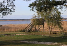 Silmale võib kerkida uus vaatetorn