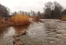 Läänemaa saab uue looduskaitseala