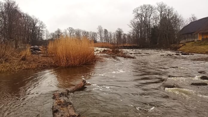 IMG_20260406_085800_7