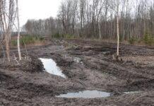 Amet algatas lagastatud kaitsealal süüteomenetlused