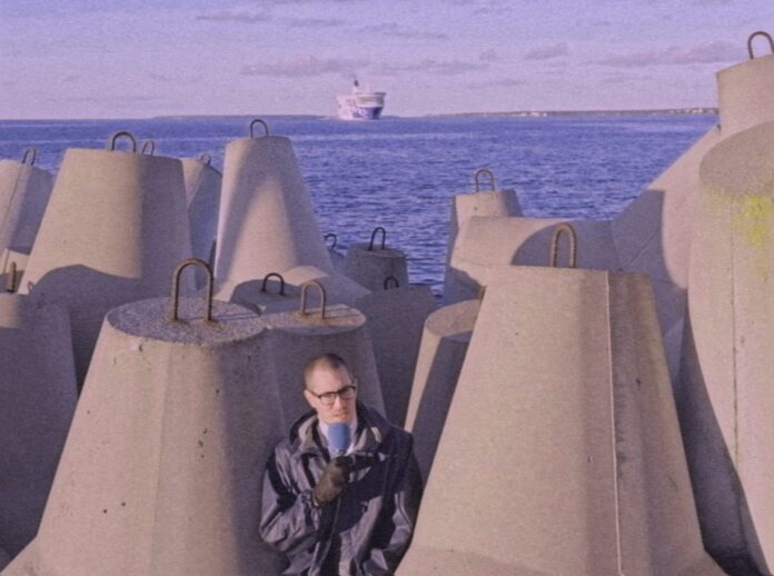 terroriseerivad tiivulised