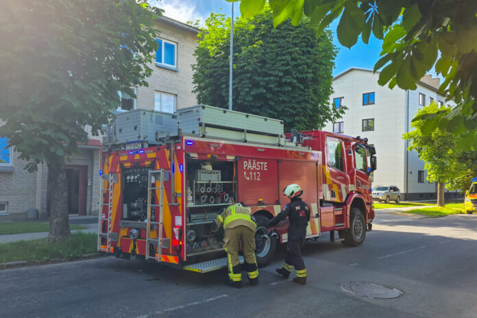 päästjad_malleliisaraigla