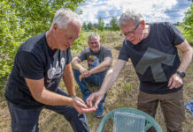 Arheoloogid uurivad Ehmja kalmet