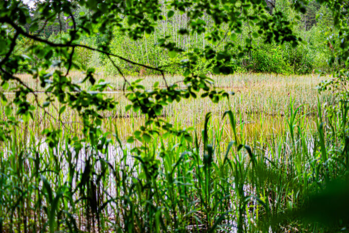 valgevälja II karjäär_malleliisaraigla (11)