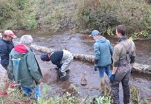 Loodushuvilised tegid Penijõele lookeid